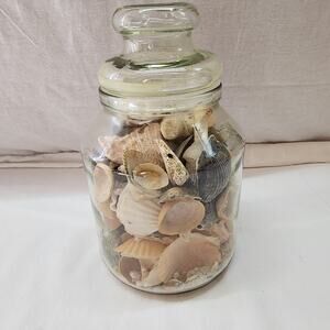 Glass Jar of assorted collection of real sea shells decorative art Crafts X